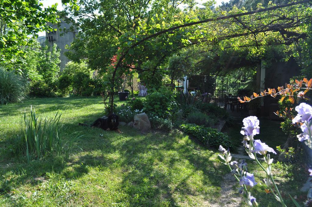 La Ribeyrette Bed & Breakfast Chamborigaud Luaran gambar